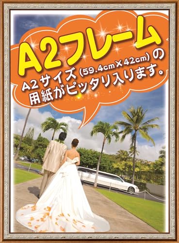 z A2 TCY F F S[h  c tHgt[ Ǌ| ʐ^ |X^[t[