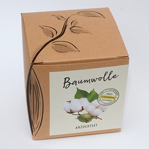 Geschenk-Anzuchtset Baumwolle, mit Samen der Topfbaumwolle, tolle Geschenk-Idee aus dem naturkraftwerk