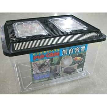 CP プラスチックケース 黒 約30cm 楽天市場】プラケース 飼育容器 スーパー特大 黒（500×355