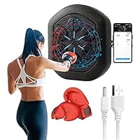 デジタルボクシングトレーニング器具 training3.jpg