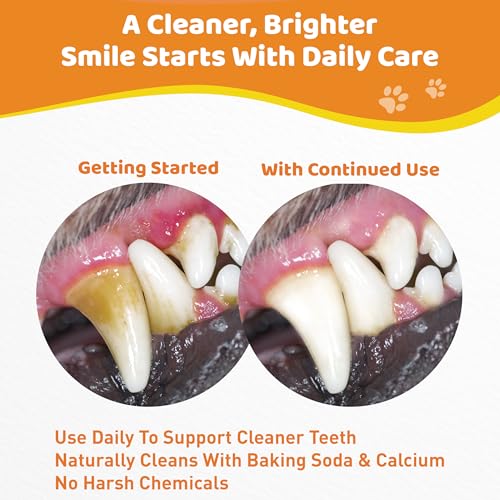 Image of Dog Teeth Cleaning Powder - Natural Dog Dental Powder -Gentle Dog Breath Freshener, Dog Plaque and Tartar Remover, Vet Formulated No Sodium Hexametaphosphate- 60 Scoops, 4.23oz (120g)
