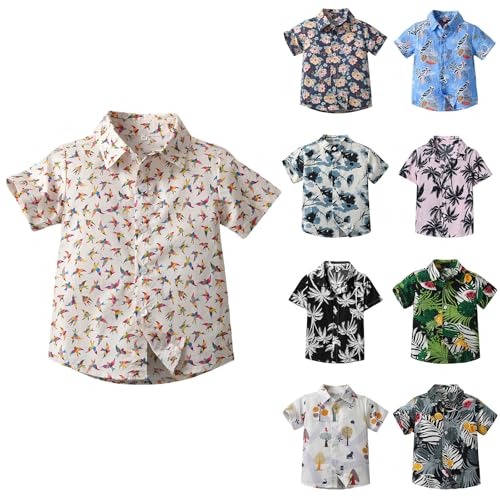 Boys Button Down Shirts 3D Graphic Hawaiian Aloha Short Sleeve Dress Shirt Tops Shirt Cute Top for Kids