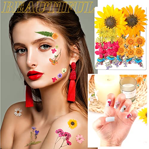 Funtery 111 piezas flores prensadas secas para manualidades miniatura 5