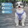 Best Pet Supplies Voyager Step-in Air Harness - All Weather Mesh, Reflective, No Pull Harness for Dogs, Cats - Secure with Hook & Loop Fastener, Buckle, Double D-Rings - Lavender, S #1