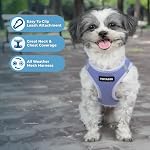 Best Pet Supplies Voyager Step-in Air Harness - All Weather Mesh, Reflective, No Pull Harness for Dogs, Cats - Secure with Hook & Loop Fastener, Buckle, Double D-Rings - Lavender, S - Image 2
