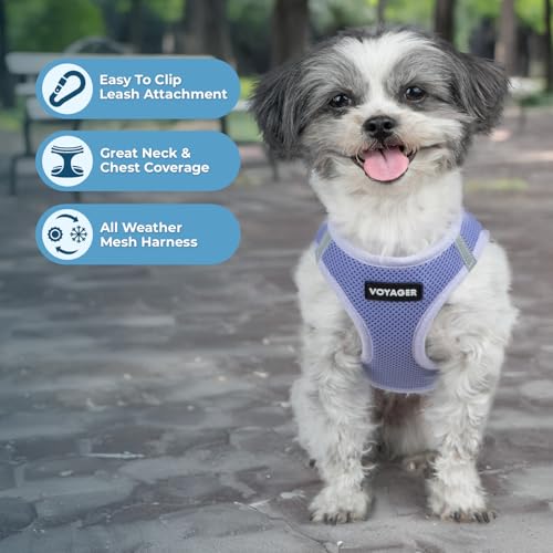 Image of Best Pet Supplies - All Weather Mesh /Plush, Reflective, No Pull Harness for Small, Medium Dogs, Cats - Secure with Hook & Loop Fastener, Buckle, Double D-Rings - Lavender, L