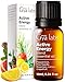 Produktbild Gya Labs Active Energy Ätherische Ölmischung für Diffusor - 100% Reines Natürliches Aromatherapie Ätherisches Öle für Energie, Verjüngend & Erfrischend (10 ml)