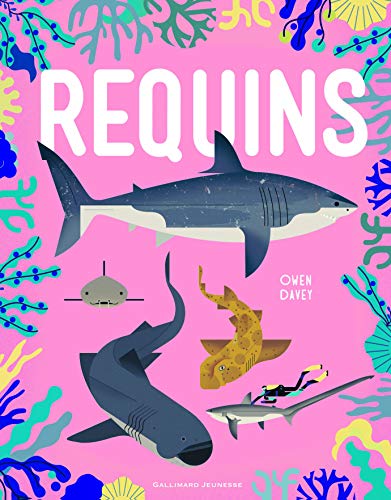 REQUINS