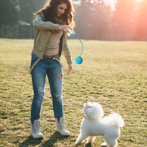 Dog Training Ball on Rope, 2Pcs Dog Rope Toys Ball Exercise and Reward Toy for Dogs for Chew Training Pull Throw Toy tug Toy Dogs Fetch Toys Dog Training Ball on Rope, 2Pcs Dog Rope Toys Ball Exercise and Reward Toy for Dogs for Chew Training Pull Throw Toy tug Toy Dogs Fetch Toys