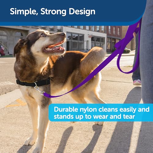 Image of PetSafe Nylon Dog Leash - Strong, Durable, Traditional Style Leash with Easy to Use Bolt Snap - 1 in. x 6 ft., Deep Purple | Durable Nylon Leash with Easy on /off Bolt Snap Hook, Pairs Perfectly with Easy Walk Harness and Gentle Leader Headcollar