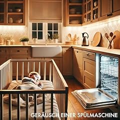 Ger&auml;usch einer Sp&uuml;lmaschine Titelbild