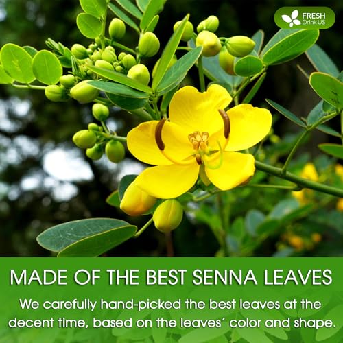 Image of FreshDrinkUS, Premium 16oz Senna Leaf Powder, 100% Natural and Pure from Senna Leaves, No Additives, No Gluten, No Sugar, Vegan