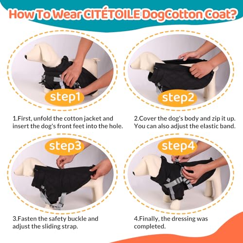 Manteau chaud pour chien CITÉTOILE coupe-vent avec zip