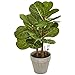 Nearly Natural 22â€ Fiddle Leaf Artificial Silk Plants Green