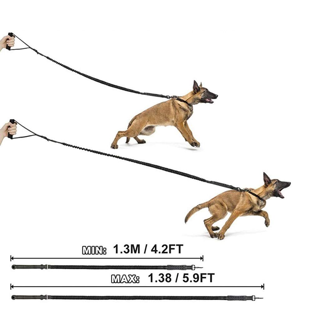 XIANGFAGS Correa Perro Elástica Perro Bungee Correo del Plomo de Alta Resistencia Mango ergonómico Acolchado Correa Reflectante del Animal doméstico for los Perros Formación Mediana Grande