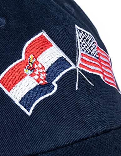 Image of Ann Arbor T-shirt Co. American Friendship Nations Flag Baseball Low Profile Dad Hat for Men Women