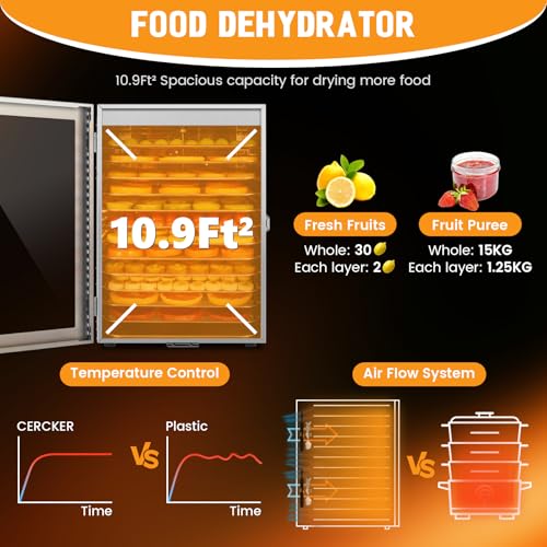 Electric Food Dehydrator 10 Trays