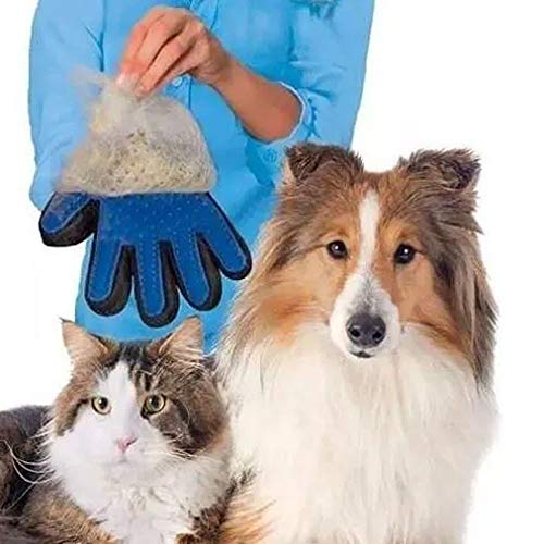 Chalesco Clean Glove Para Cães Azul Tamanho Único