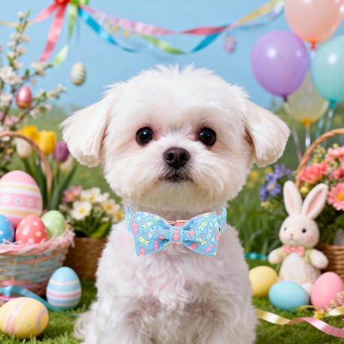 Image of DOGWONG Easter Dog Collar, Blue Bunny Print Dog Collar with Bow, Girl Boy Pet Spring Holiday Dog Collars for Small Dogs,S