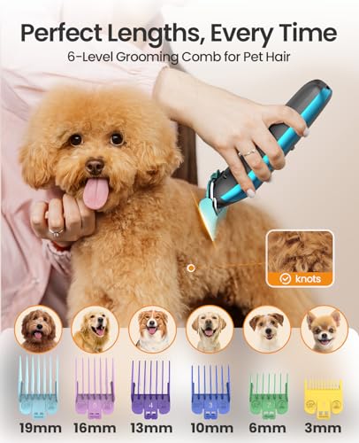 image for oneisall 2 in 1 Dog Clippers Grooming and Paw Trimmer, Cordless 50dB Q