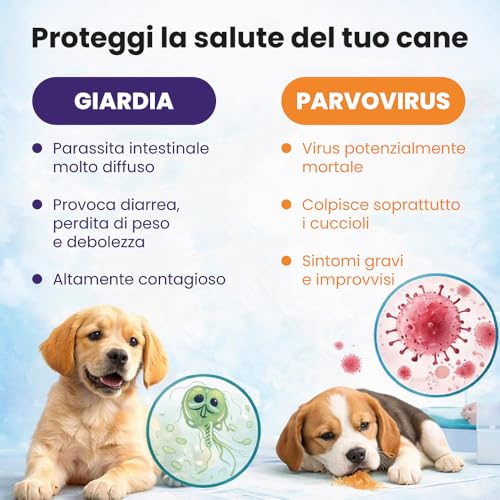 AREA LAB Test rapide Parvovirus et Giardia Lamblia pour chiens | 2 kits d'analyse CPV & Giardia Lamblia sur échantillon de selles ou de vomissements | Résultat rapide en 5 à 10 Minutes | Test pour – vue 2