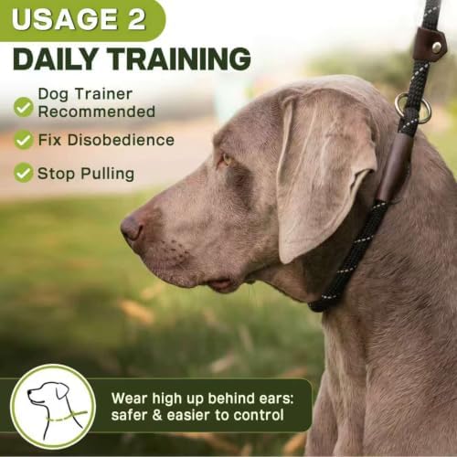 Fida Durable Slip Lead Dog Leash, 6 FT x 1/2" Heavy Duty Dog Loop Leashes, Comfortable Strong Rope Slip Leash for Large Medium Dogs, No Pull Pet Training Lead with Highly Reflective(1/2", Black) - 4
