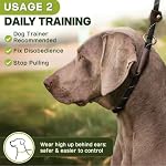 Fida Durable Slip Lead Dog Leash, 6 FT x 1/2" Heavy Duty Dog Loop Leashes, Comfortable Strong Rope Slip Leash for Large Medium Dogs, No Pull Pet Training Lead with Highly Reflective(1/2", Black) - Image 5