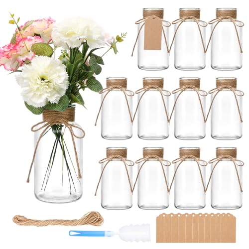 Brajttt 12 Pack Glass Flower Vases with Rope Mason Jars for Centerpieces