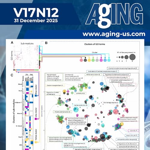 RNA Splicing and Processing Emerge as Central Features of Human Aging Across Tissues