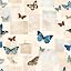 Butterfly Paper
