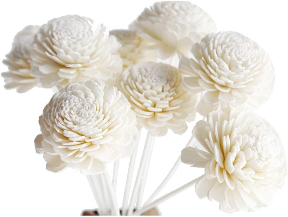 10 Jasmine Design Sola Flower Reed Diffuser for Home Fragrance Aroma Oil by Plawanature