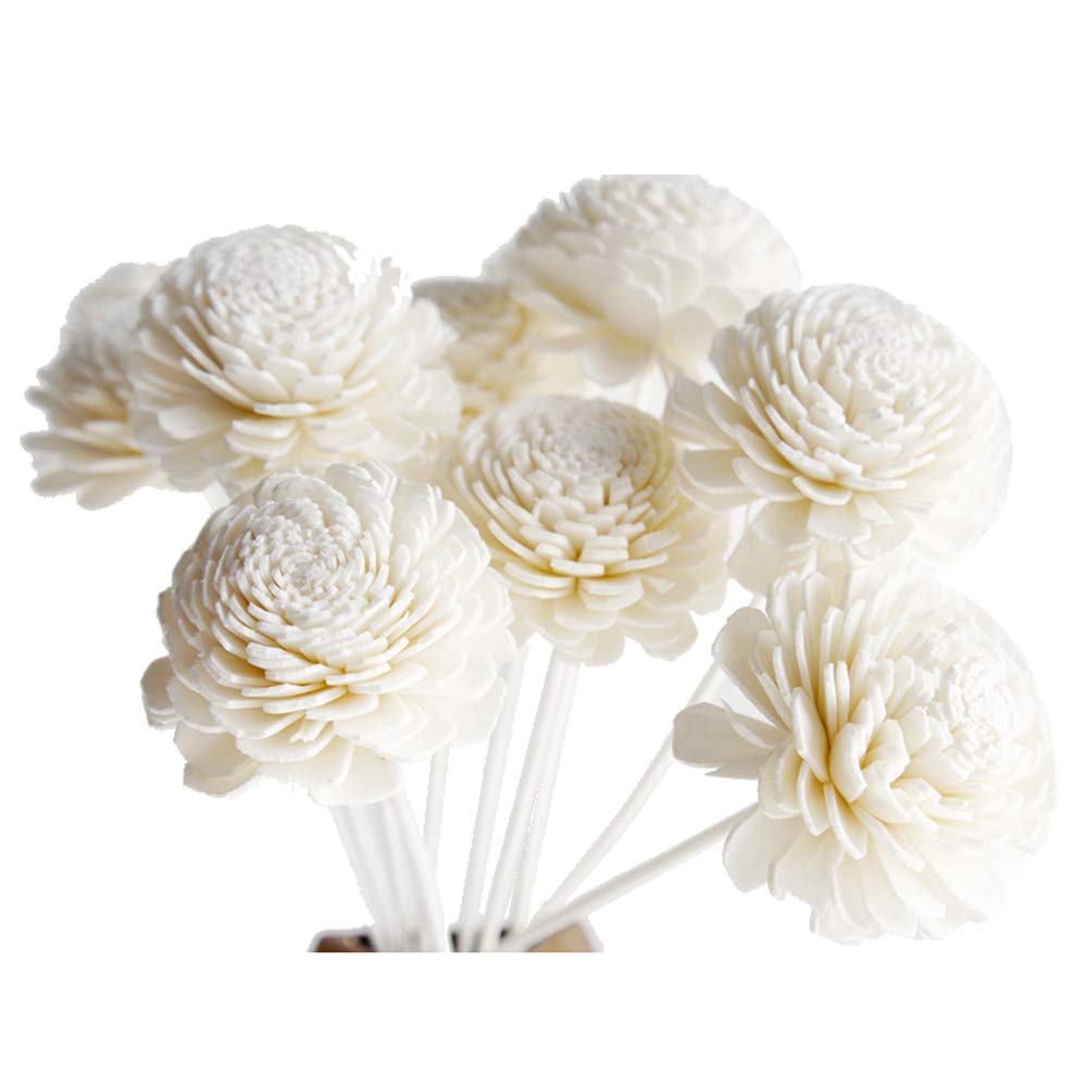 10 Jasmine Design Sola Flower Reed Diffuser for Home Fragrance Aroma Oil by Plawanature
