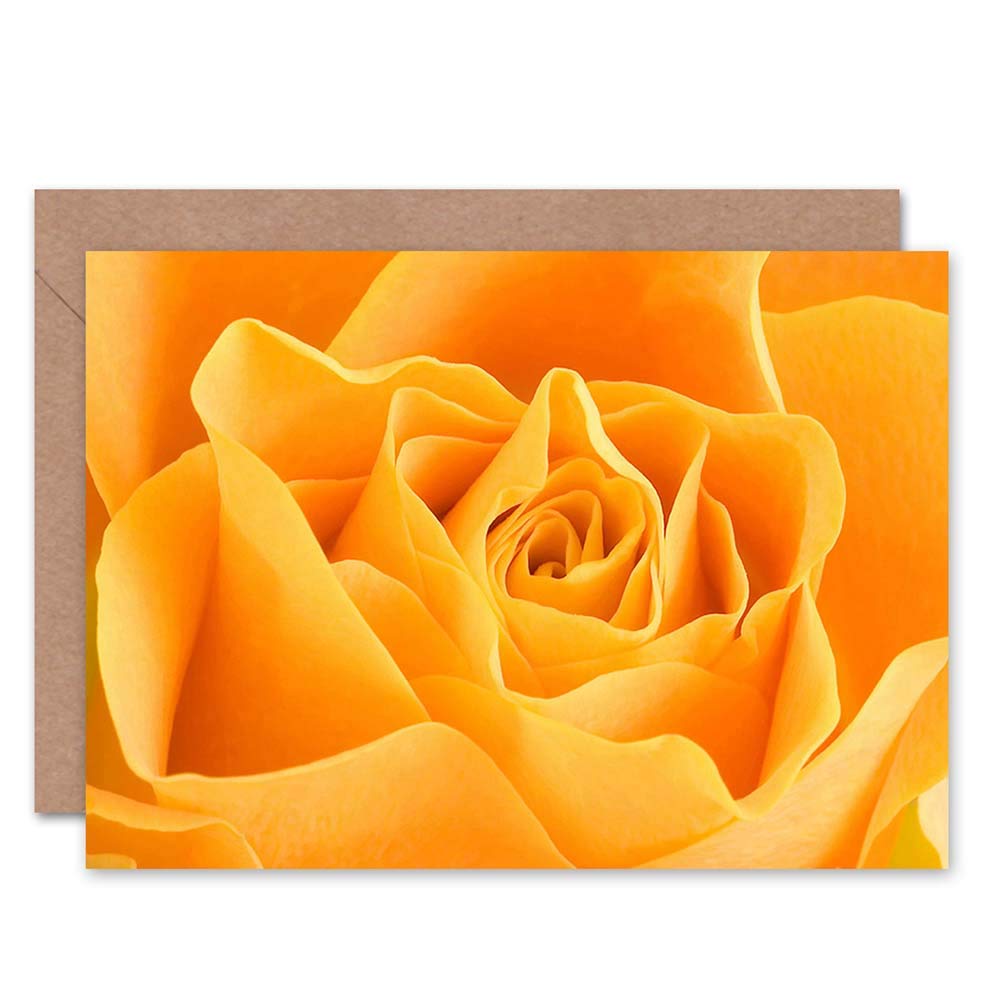Wee Blue Coo GREETINGS CARD BIRTHDAY GIFT NATURE PHOTO FLOWER YELLOW ROSE