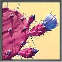 SIGNWIN Framed Canvas Wall Art Pink Santa Rita Tubac Prickly Pear Cactus with Blue Flower Botanical Succulent Photography Realism Modern Closeup Fun for Living Room, Bedroom, Office - 16x16 inches