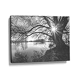 HOBBYMATE Wall Artwork Black & White Trees, Wall decoration Art Canvas Print Picture | Framed Canvas...