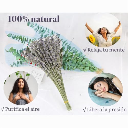Miniatura 4 de Eucalipto Preservado Secas Lavanda Seca Flores Secas Naturales Deco Diy Ramo De Flores Secas,Ramo De Hierba De La Pampa Flor De Caña Deco Ideal Para Boho Salón Dormitorio.