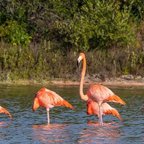 Sisal, Yucat&aacute;n: Un Para&iacute;so con Mucha Historia.