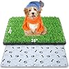 Dog Grass Mat with Pee Pad 2025 Small Dog Litter Box Indoor Artificial Turf Grass Porch Waterproof Patio Potty Tray for Doggie Reusable Washable Pads and Lawn for Replacement for Puppy Training