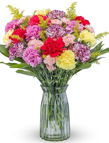 Benchmark Bouquets - Spring Carnations (Glass Vase Included) - Fresh Flowers for Next Day Delivery...