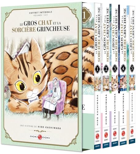Le Gros Chat et la Sorcière grincheuse - coffret vol. 01 à vol.05