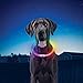Nite Ize NiteHowl Rechargeable LED Safety Necklace - Adjustable LED Light Dog Necklace - Rechargeable Dog Collar Light for Night Safety - Dog Accessories for Collars - Multicolor