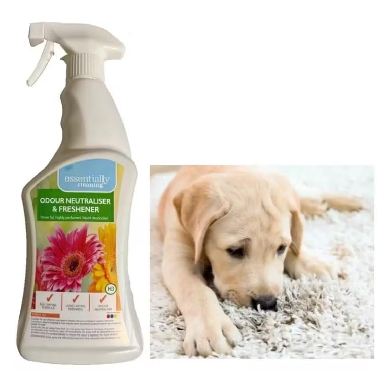 Urine Odour and Stain Remover Cleaner Eliminator Neutraliser Air Freshener For Fabric Multi-Surface Odors Deodorizer for Dogs & Cats Urine, Stains & Smells, Care Homes - Trigger Spray Bottle 750ml