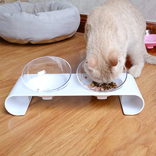 POPETPOP Tigela de Comida para Animais de EstimaÃ§Ã£o Tigelas de AlimentaÃ§Ã£o Dupla 15 Â° Boca OblÃ