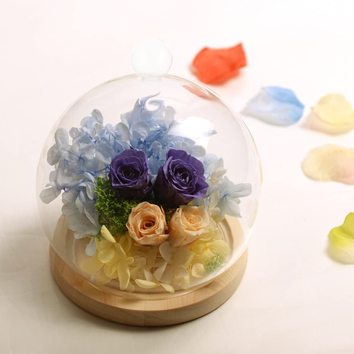 VICASKY 1 Juego Cubierta De Cristal De Flores Preservadas Terrarios De Vidrio para Soporte para Pasteles De Vidrio con Tapa Cúpula De Queso De Madera Antiguo Bambú Cubierta De Comida