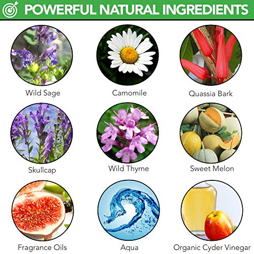 The Healthy Dog Co - Natural Dog Ear Cleaner - Dog Ear Drops for Infection - Gentle Ear Drops for Dogs - Dog Ear Cleaner Solution - Soothing Dog Ear Cleaning Solution - Ideal Puppy Ear Cleaner - 250ml - Image 6