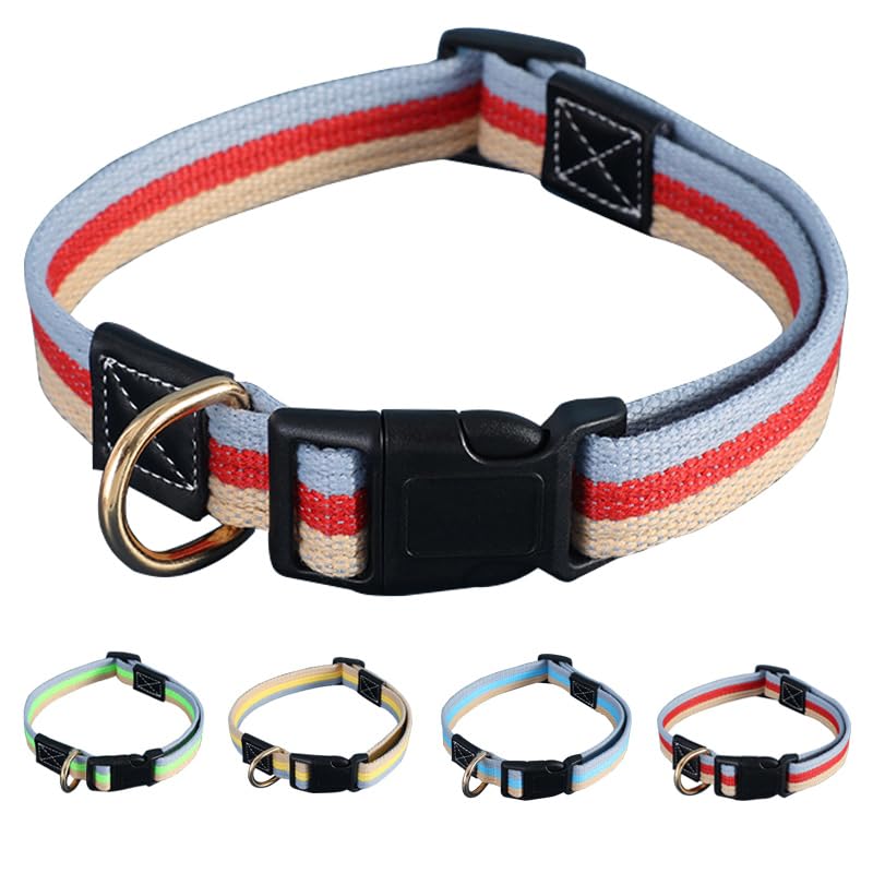 Collier pour chien en toile rouge idéal pour les balades en forêt