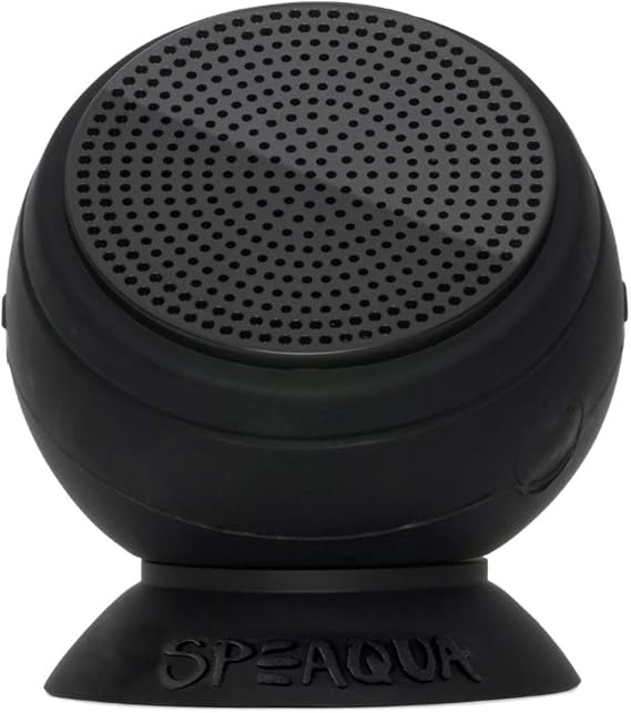 The pebble speaker speaqua Clearance