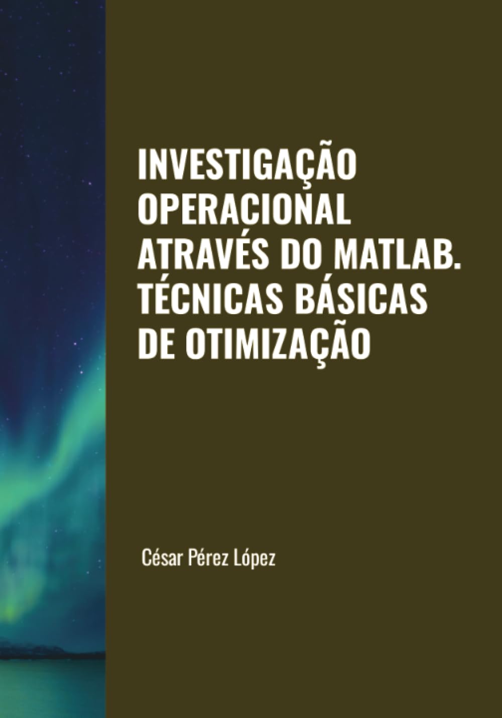 INVESTIGAÇÃO OPERACIONAL ATRAVÉS DO MATLAB. TÉCNICAS BÁSICAS DE OTIMIZAÇÃO