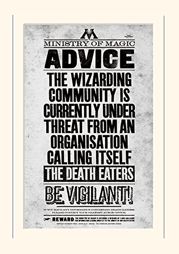 Pyramid International Harry Potter (Be Vigilant) -Mounted Print Memorabilia 30 x 40cm, Paper, Multicoloured, 30 x 40 x 1.3 cm