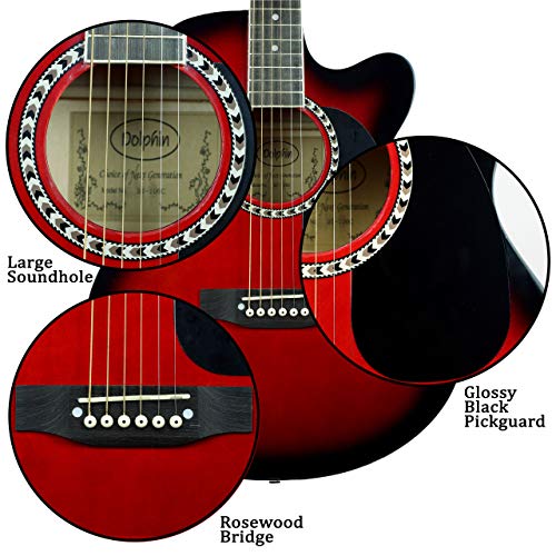 Image of DOLPHIN DT-100C SEMI ACOUSTIC GUITAR (ONLY GUITAR)